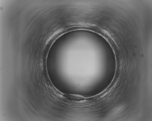 X0000087681307200705181719