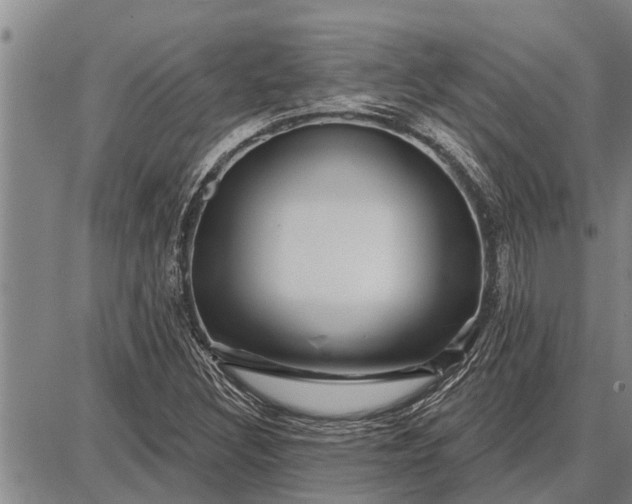 X0000087681308200705181719