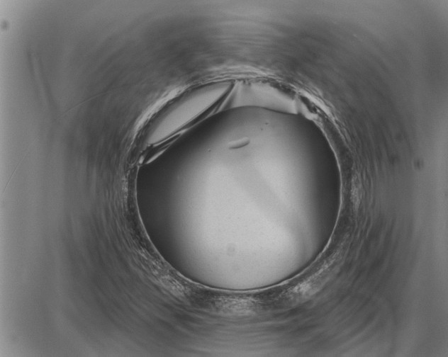 X0000087681309200705181719