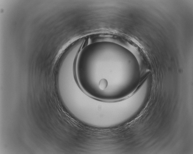 X0000087681310200705181720