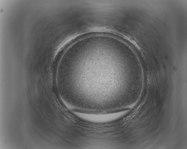 X0000087681311200705181720