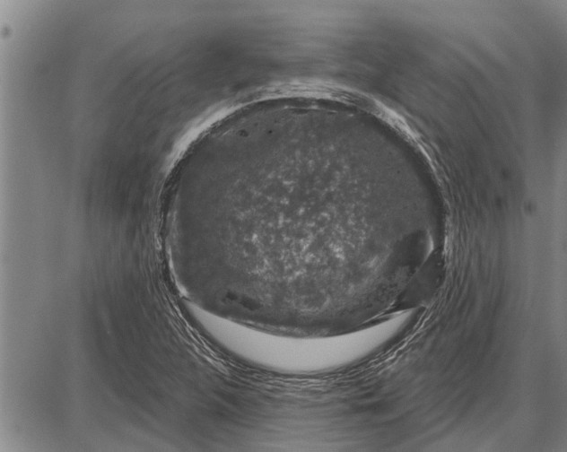 X0000087681312200705181720