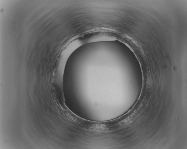 X0000087681313200705181720