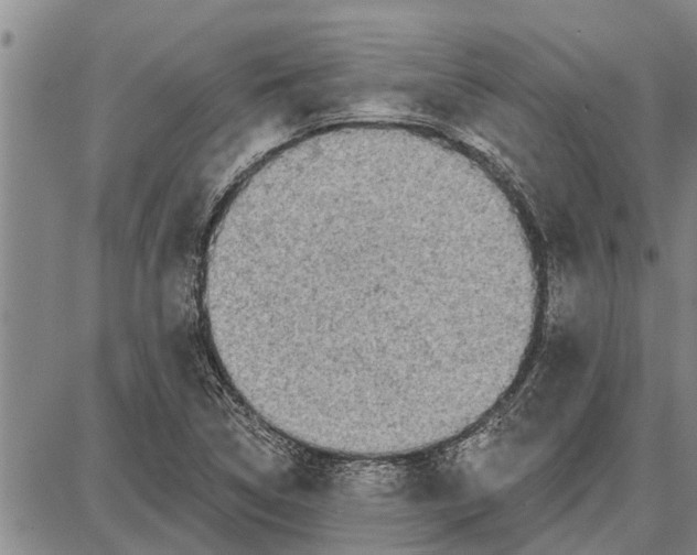 X0000087681314200705181720