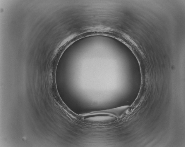 X0000087681315200705181720