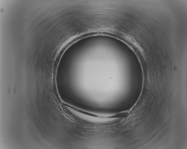 X0000087681316200705181720