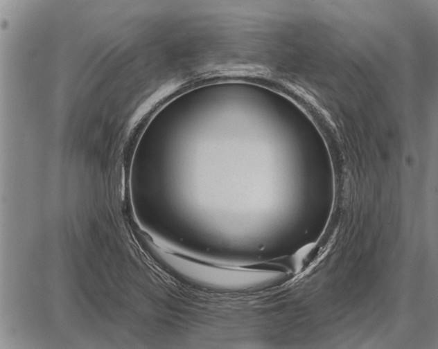 X0000087681317200705181720