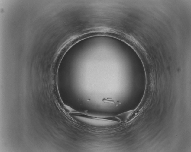 X0000087681318200705181720