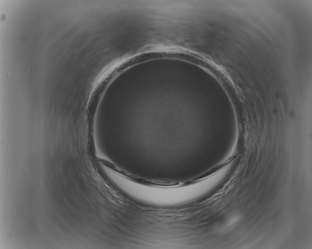 X0000087681319200705181720