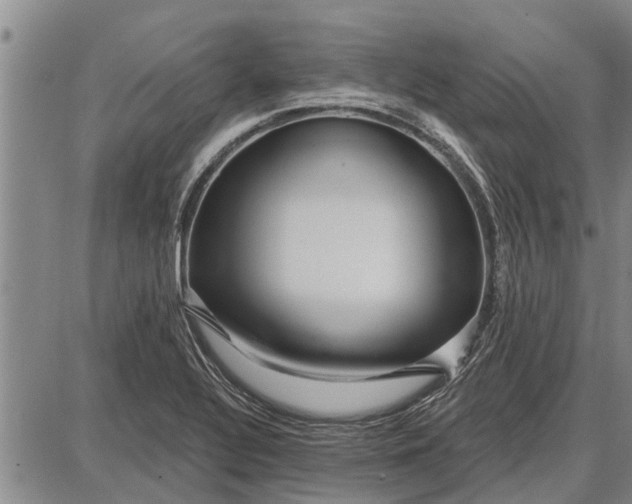 X0000087681320200705181720