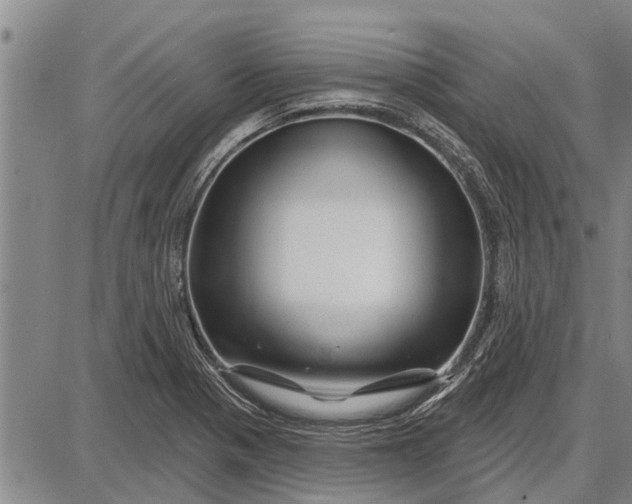 X0000087681321200705181720