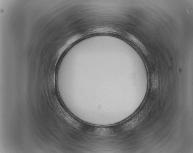 X0000087681322200705181720