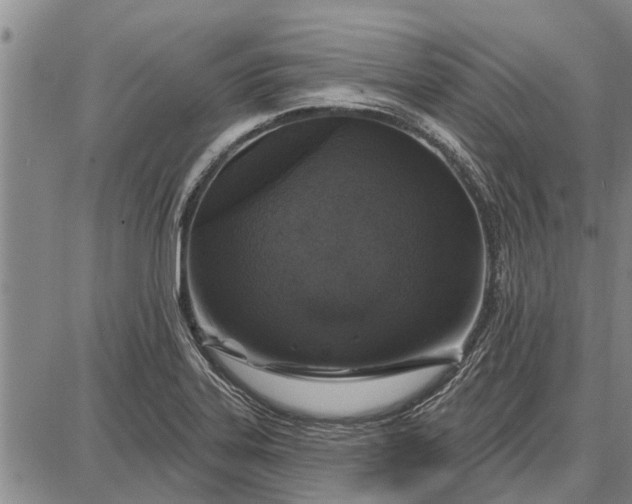 X0000087681323200705181720