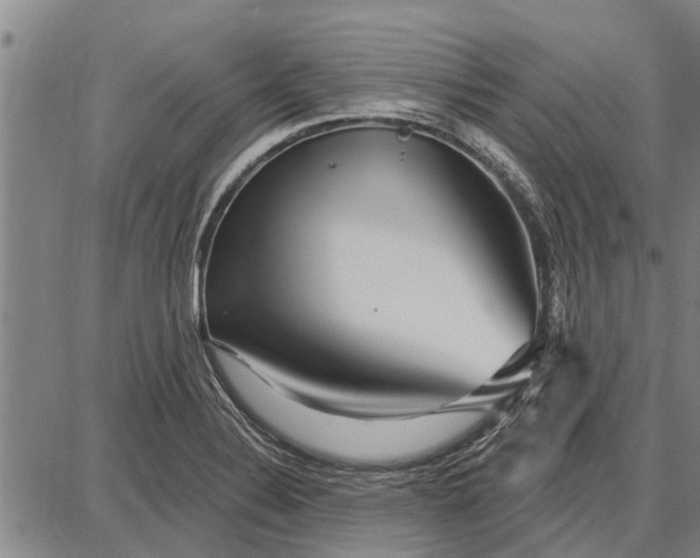 X0000087681324200705181720