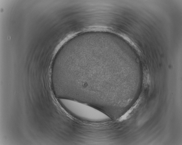 X0000087681325200705181720