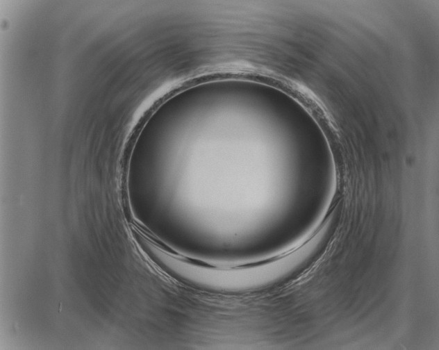 X0000087681326200705181720