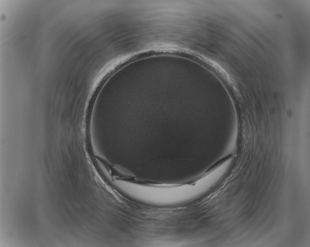 X0000087681327200705181720