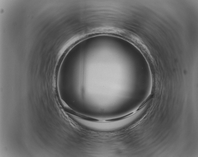 X0000087681328200705181720