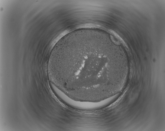 X0000087681329200705181720