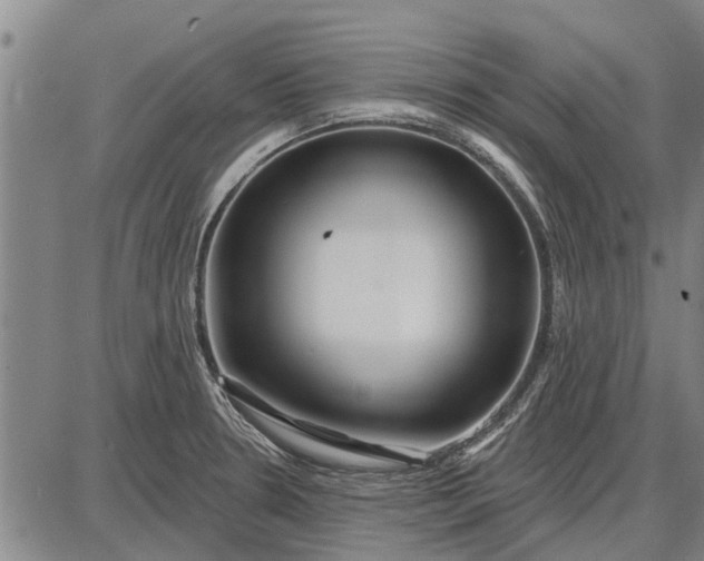 X0000087681330200705181720