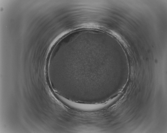 X0000087681331200705181720