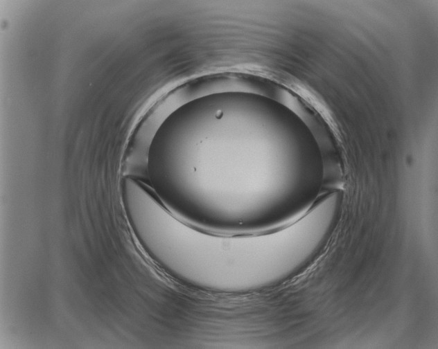 X0000087681332200705181720