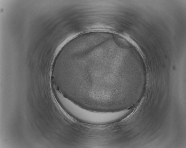 X0000087681333200705181720