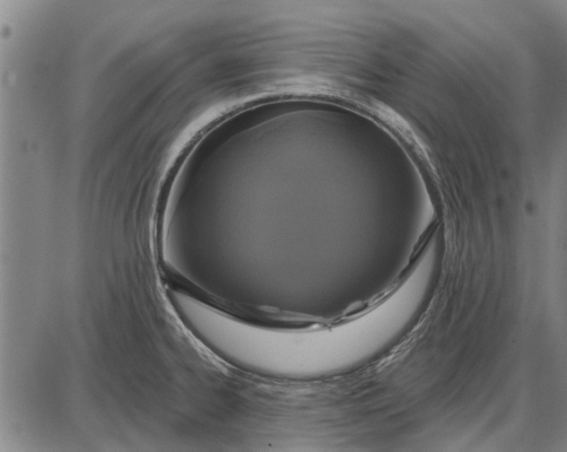 X0000087681334200705181720