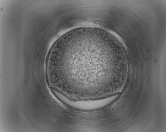 X0000087681335200705181720