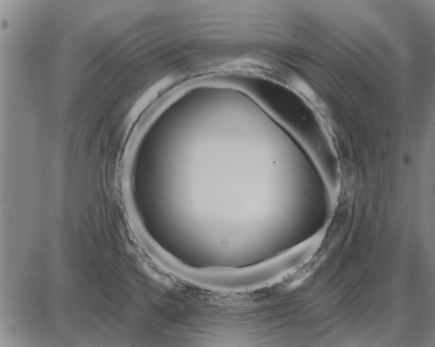 X0000087681336200705181720