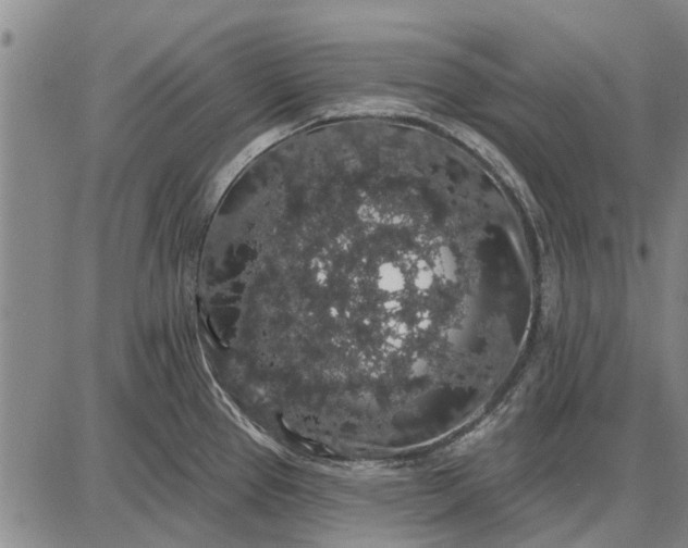 X0000087681337200705181720