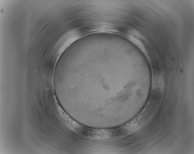 X0000087681338200705181720