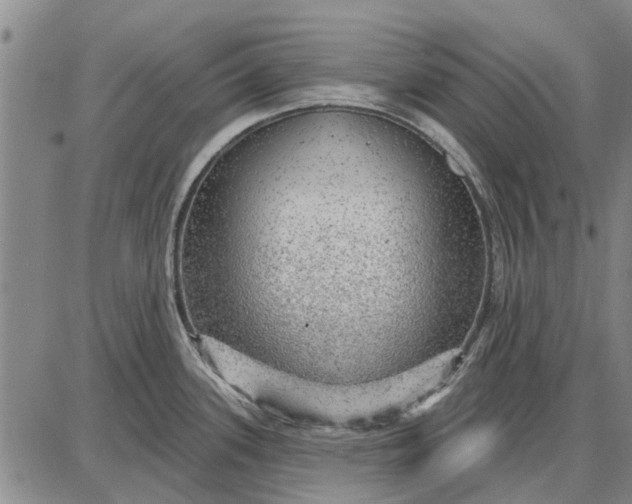 X0000087681339200705181720