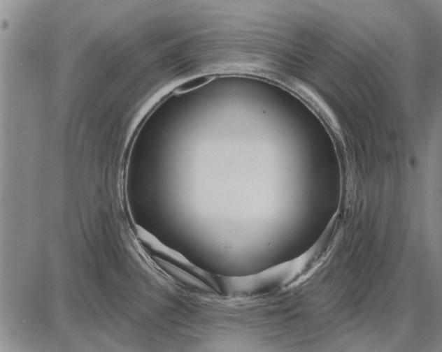 X0000087681340200705181720