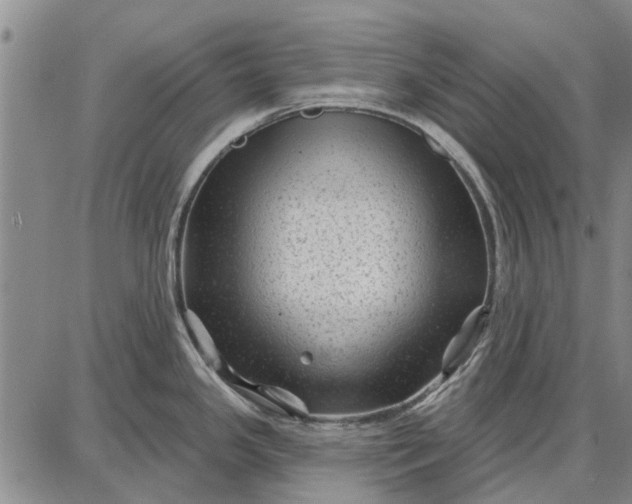 X0000087681341200705181720