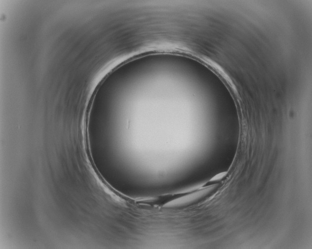 X0000087681343200705181720