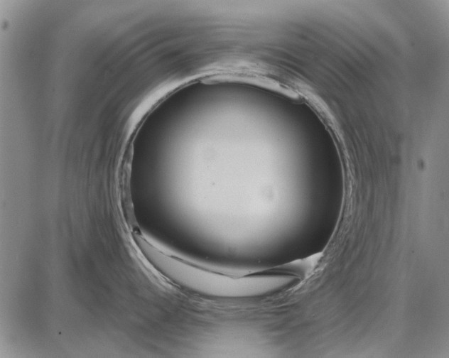 X0000087681344200705181720