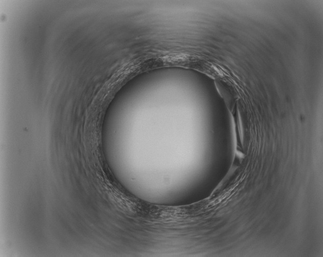 X0000087681345200705181719