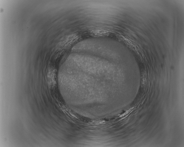 X0000087681346200705181719