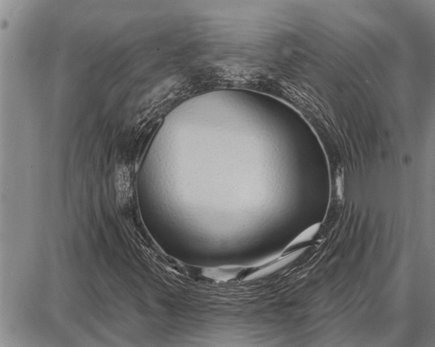 X0000087681347200705181719