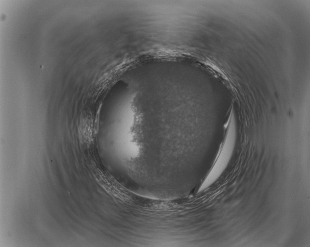 X0000087681348200705181719