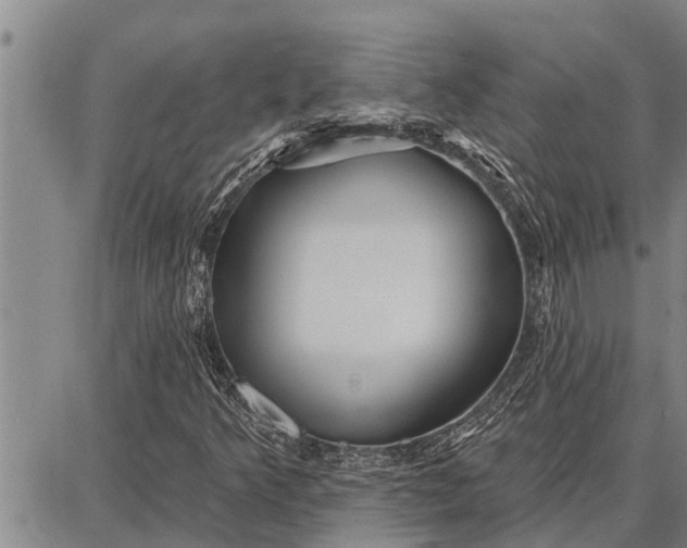 X0000087681349200705181719