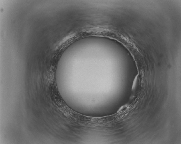 X0000087681350200705181719