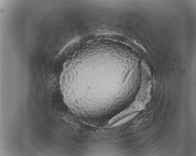 X0000087681351200705181719