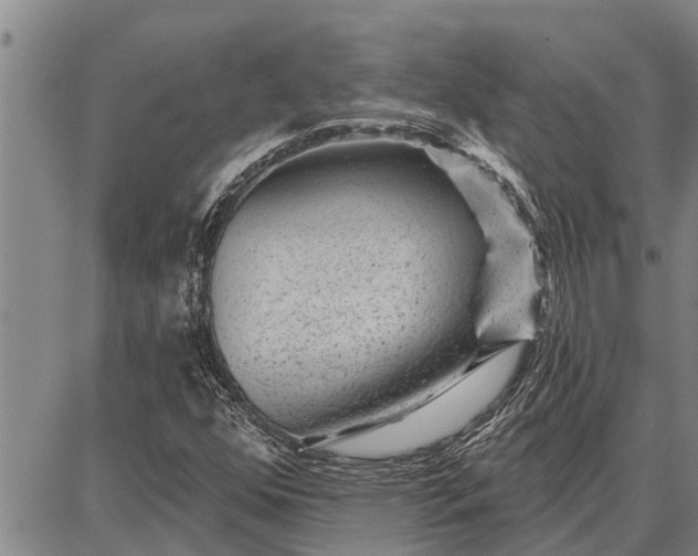 X0000087681352200705181719