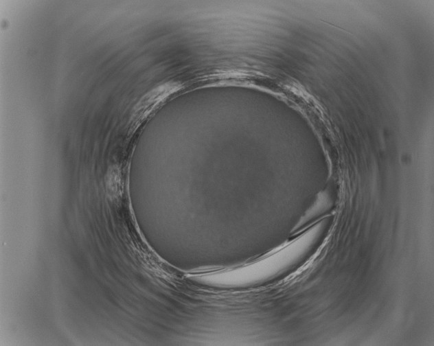 X0000087681353200705181719