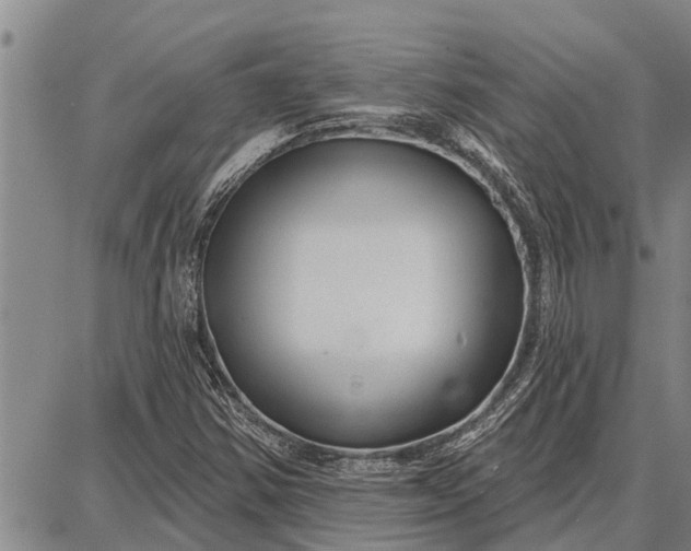 X0000087681354200705181719