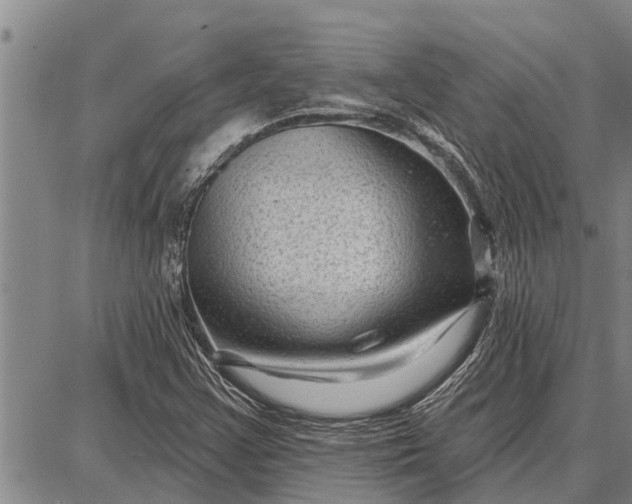 X0000087681355200705181719