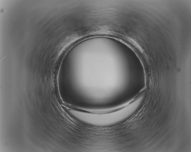 X0000087681356200705181719