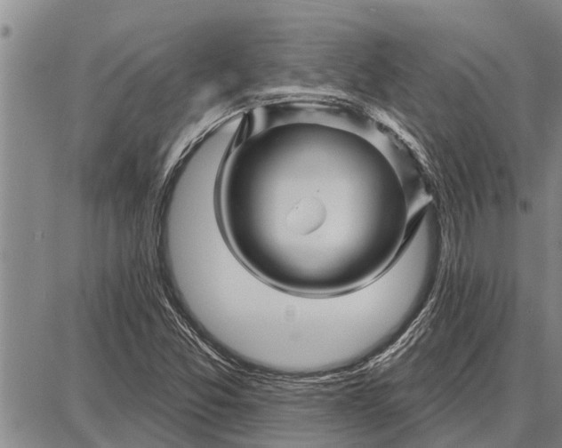 X0000087681357200705181719